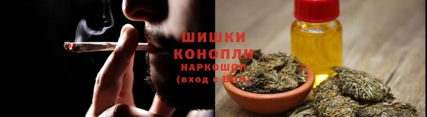 амф Аркадак