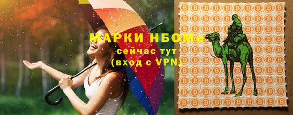 амф Аркадак