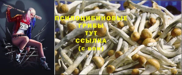 амф Аркадак