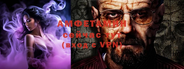 ПСИЛОЦИБИНОВЫЕ ГРИБЫ Арсеньев