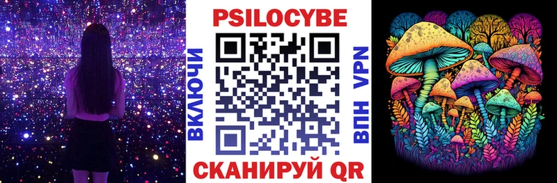 Псилоцибиновые грибы Cubensis  Славск 