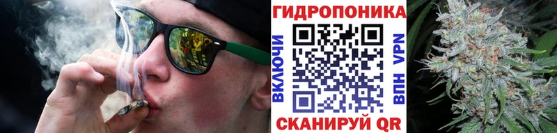 Конопля VHQ  Славск 